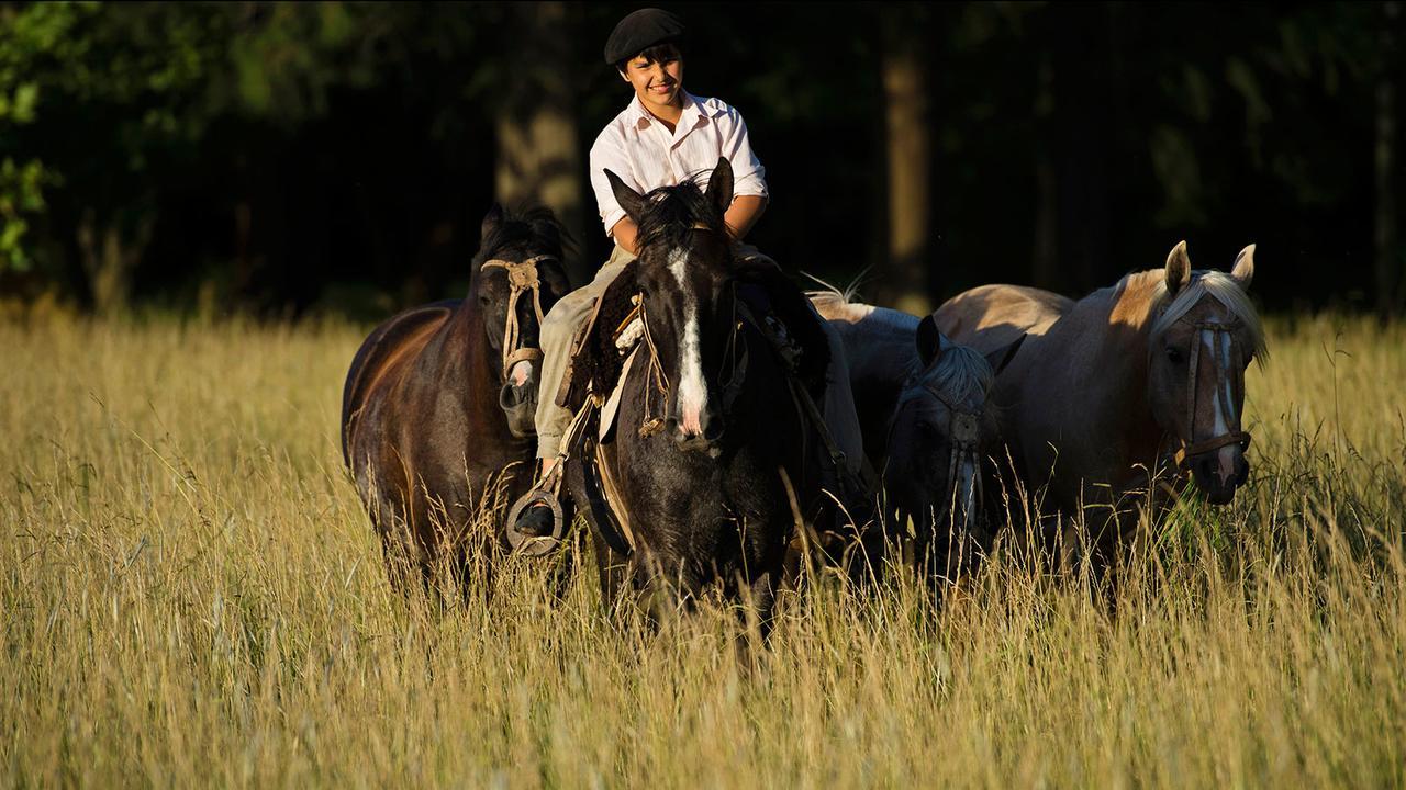 Estancia La Bandada San Miguel del Monte Ngoại thất bức ảnh